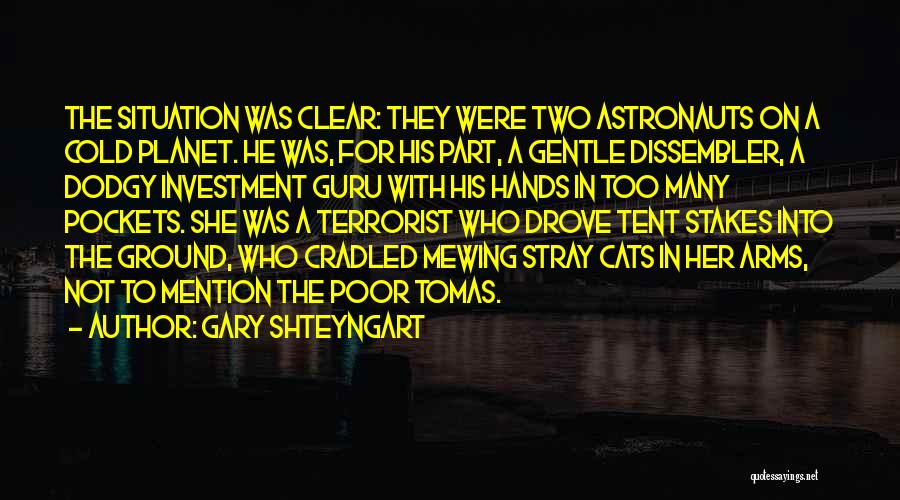 Stray Cats Quotes By Gary Shteyngart