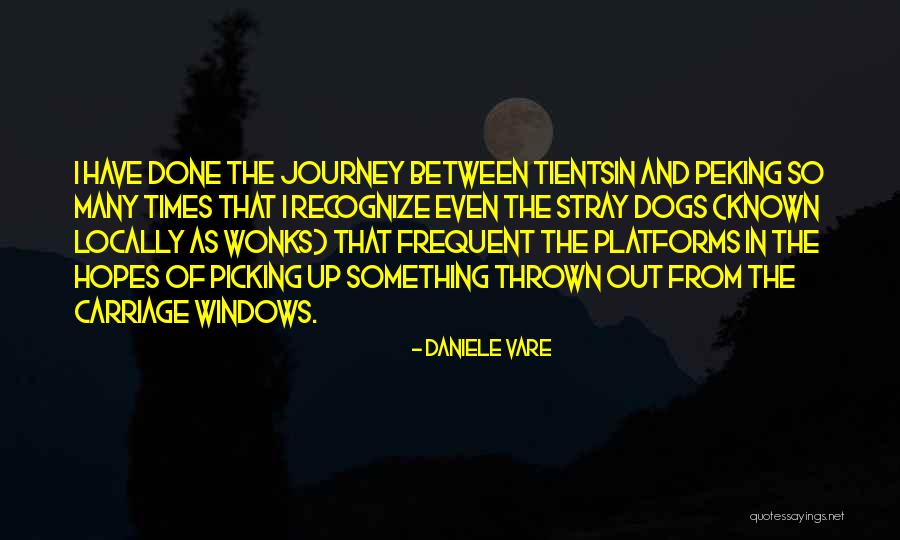 Stray Dogs Quotes By Daniele Vare