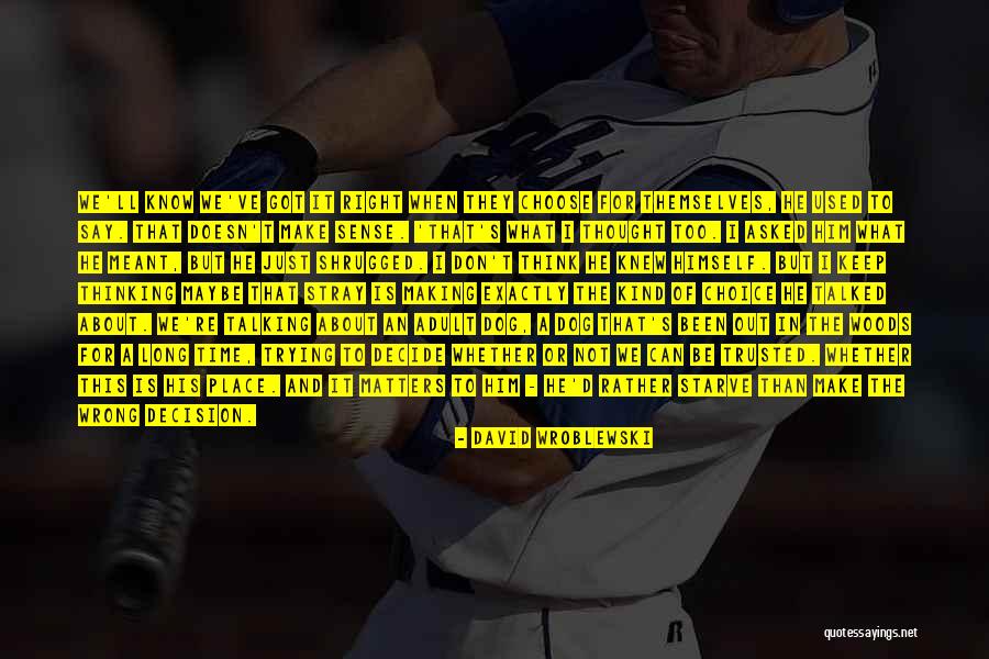 Stray Dogs Quotes By David Wroblewski