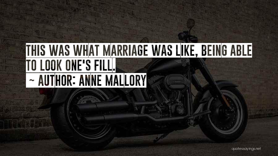 Stray Kids Funny Quotes By Anne Mallory