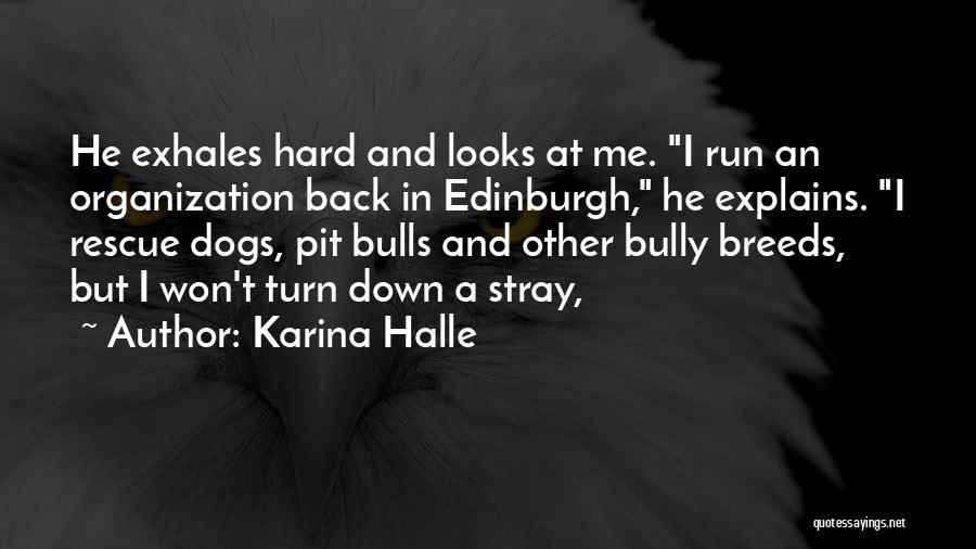 Stray Quotes By Karina Halle