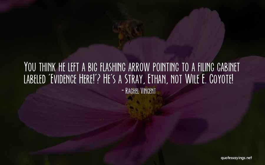 Stray Rachel Vincent Quotes By Rachel Vincent Stray Rachel Vincent Quotes By Rachel Vincent