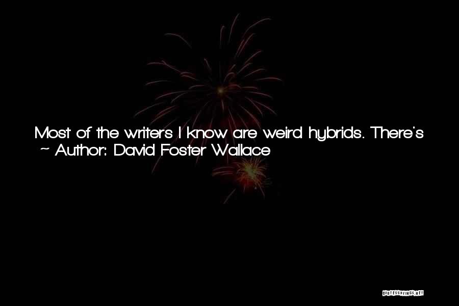 Streak Quotes By David Foster Wallace