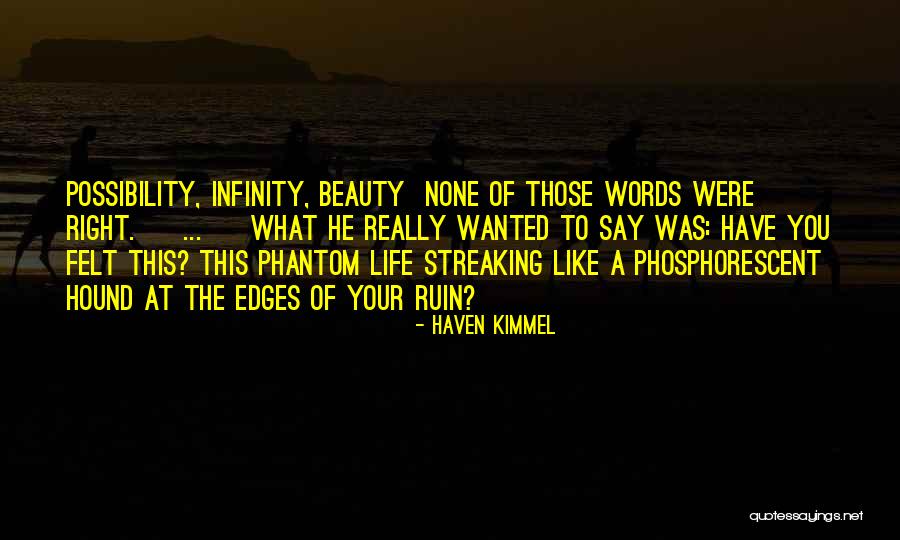 Streaking Quotes By Haven Kimmel Streaking Quotes By Haven Kimmel