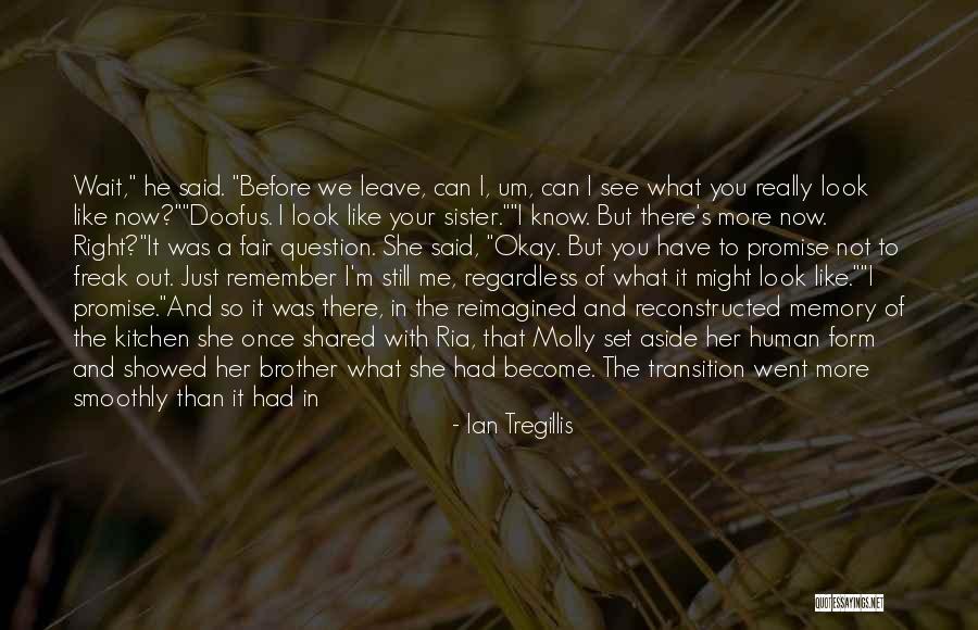 Streaking Quotes By Ian Tregillis Streaking Quotes By Ian Tregillis