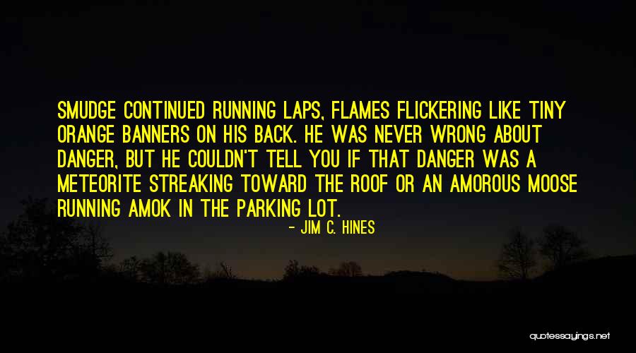 Streaking Quotes By Jim C. Hines Streaking Quotes By Jim C. Hines