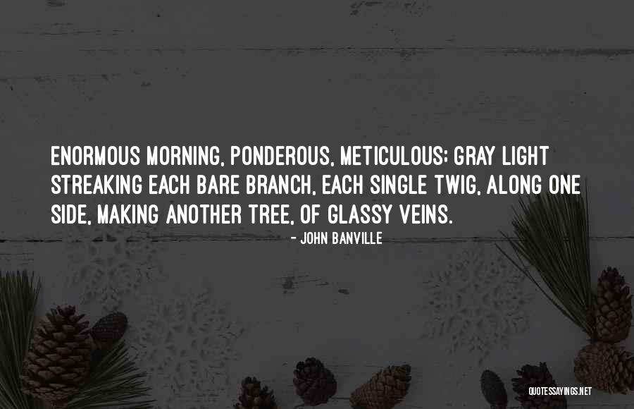 Streaking Quotes By John Banville Streaking Quotes By John Banville
