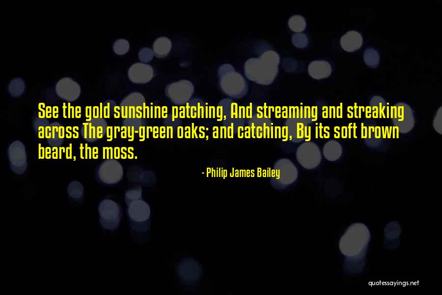 Streaking Quotes By Philip James Bailey Streaking Quotes By Philip James Bailey