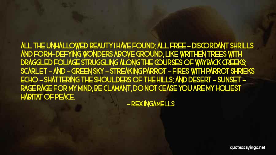 Streaking Quotes By Rex Ingamells Streaking Quotes By Rex Ingamells