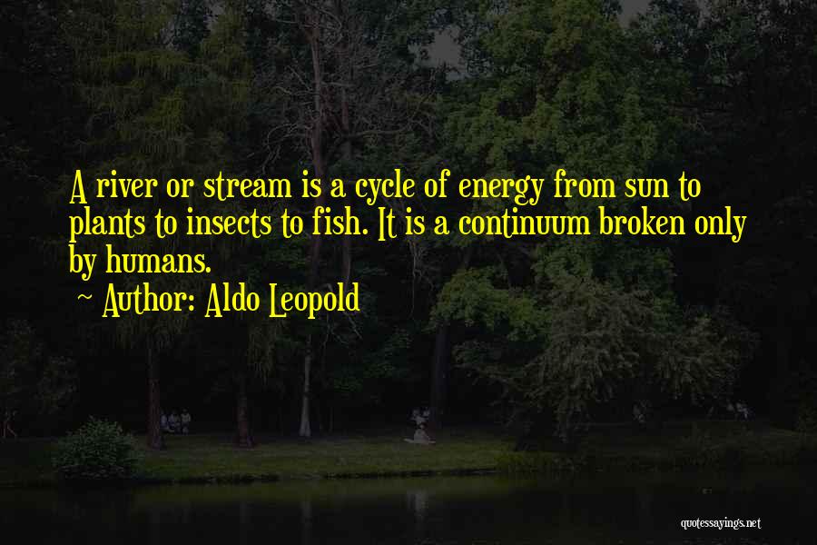 Stream Energy Quotes By Aldo Leopold