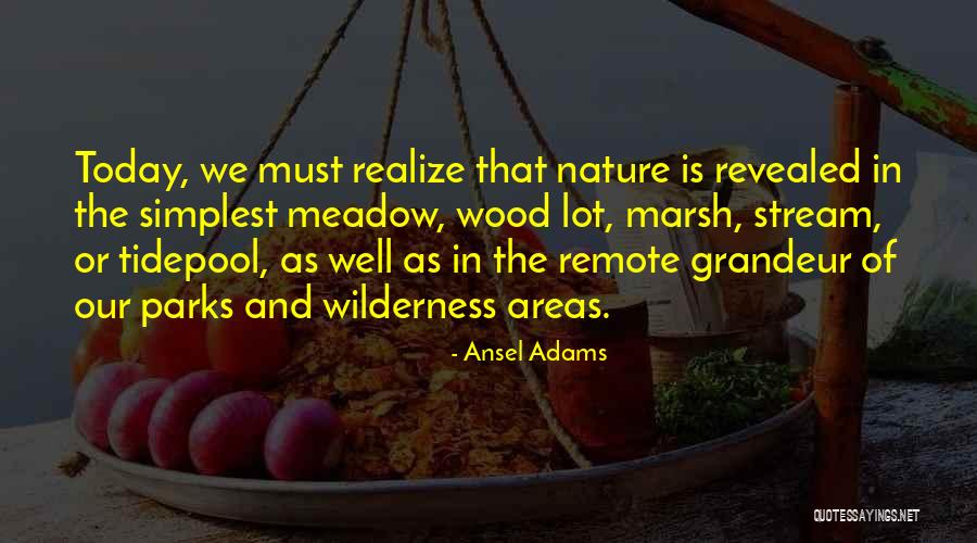 Stream Nature Quotes By Ansel Adams Stream Nature Quotes By Ansel Adams