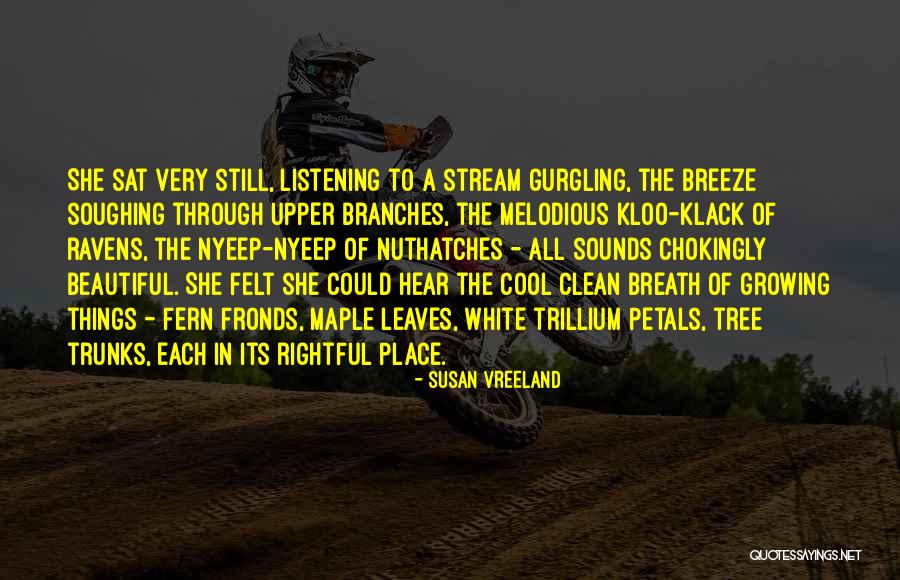 Stream Nature Quotes By Susan Vreeland Stream Nature Quotes By Susan Vreeland