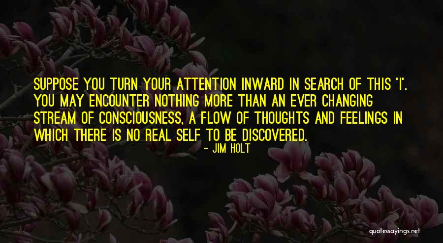 Stream Of Consciousness Quotes By Jim Holt