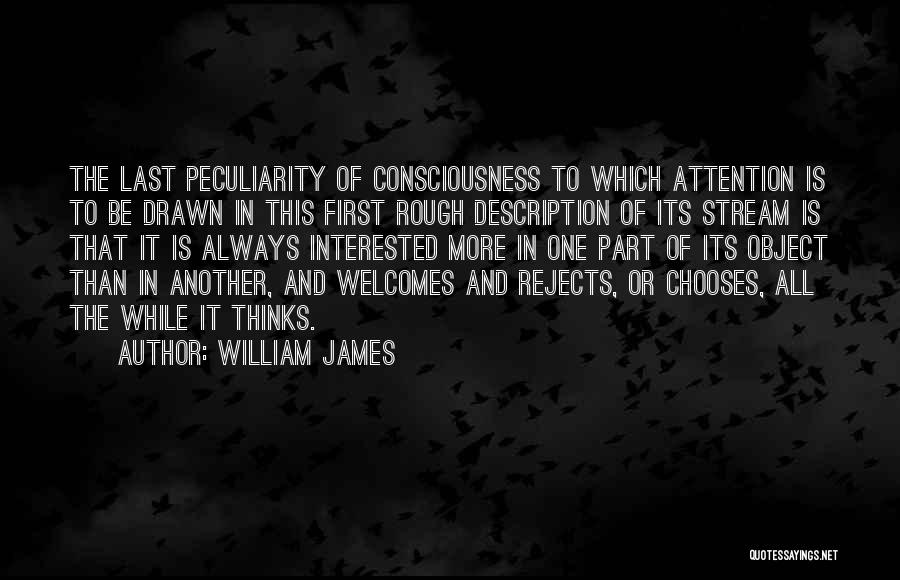 Stream Of Consciousness Quotes By William James