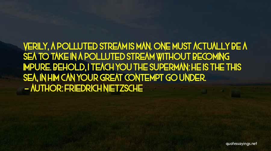 Stream Quotes By Friedrich Nietzsche