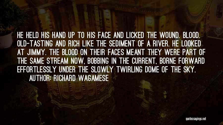 Stream Quotes By Richard Wagamese