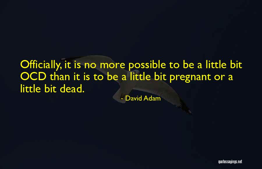 Streamers And Strings Quotes By David Adam