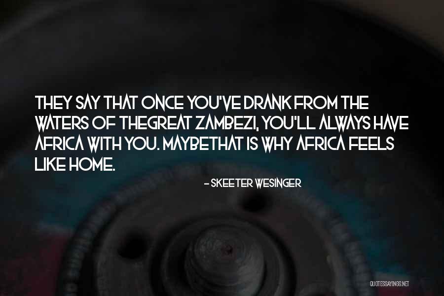Streaming Media Quotes By Skeeter Wesinger Streaming Media Quotes By Skeeter Wesinger
