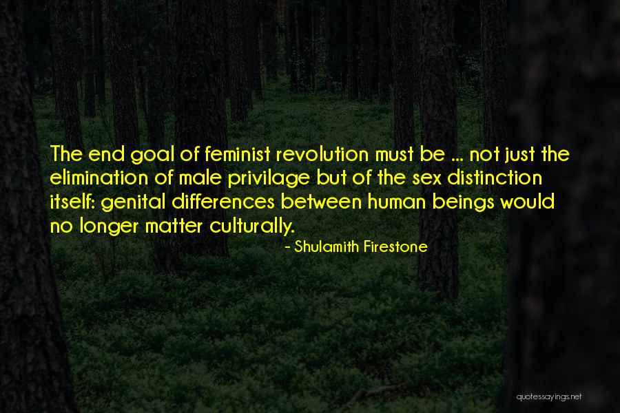 Streamit Mit Quotes By Shulamith Firestone Streamit Mit Quotes By Shulamith Firestone