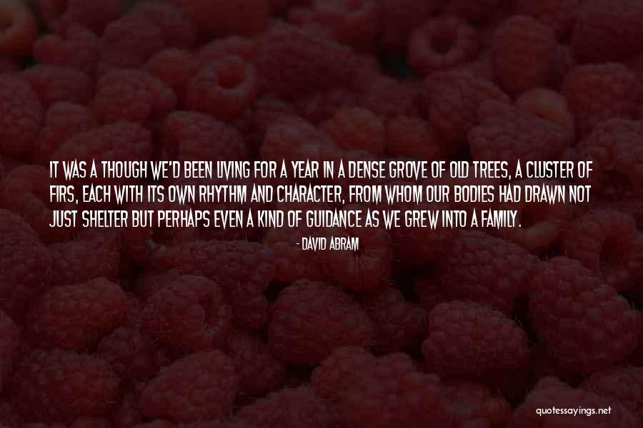 Streaters Quotes By David Abram Streaters Quotes By David Abram