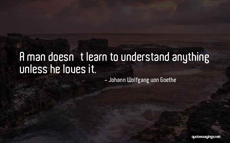 Strebtees Quotes By Johann Wolfgang Von Goethe Strebtees Quotes By Johann Wolfgang Von Goethe