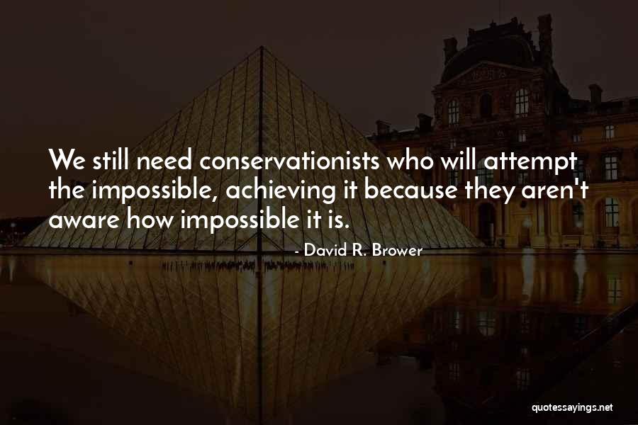 Streeps Out Of Africa Quotes By David R. Brower Streeps Out Of Africa Quotes By David R. Brower