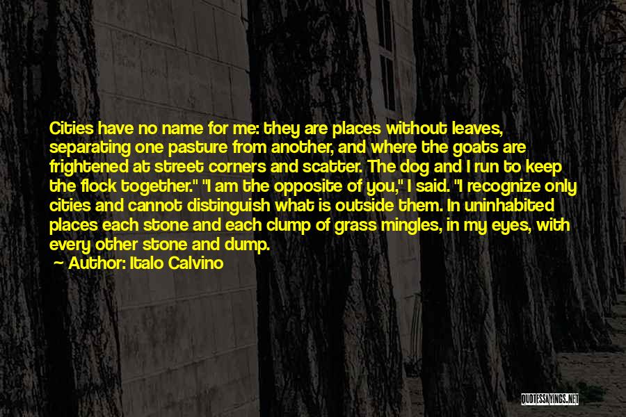 Street Corners Quotes By Italo Calvino