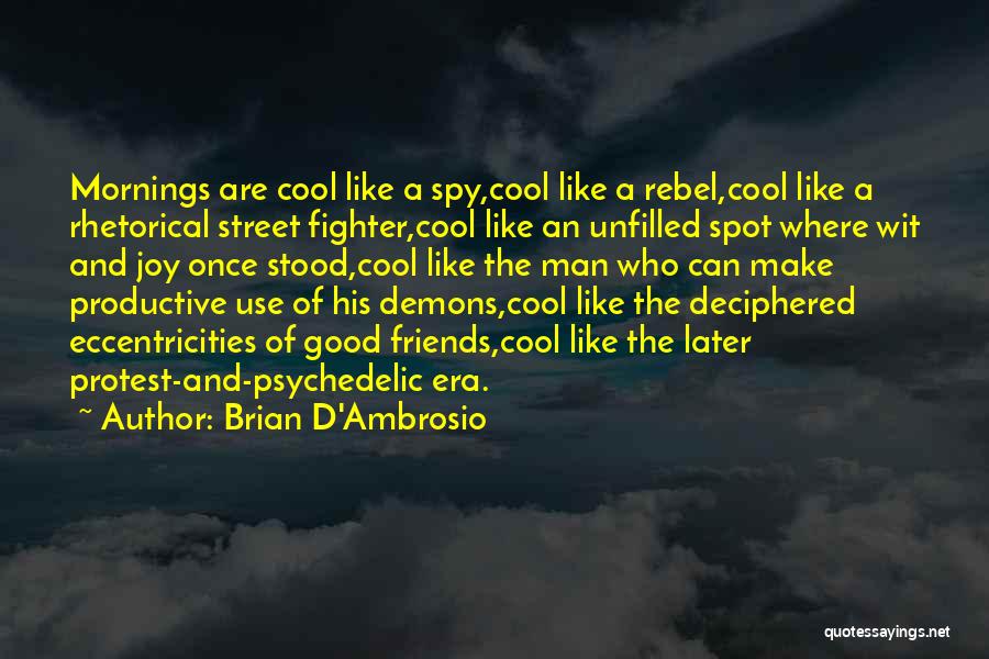 Street Fighter 4 Quotes By Brian D'Ambrosio