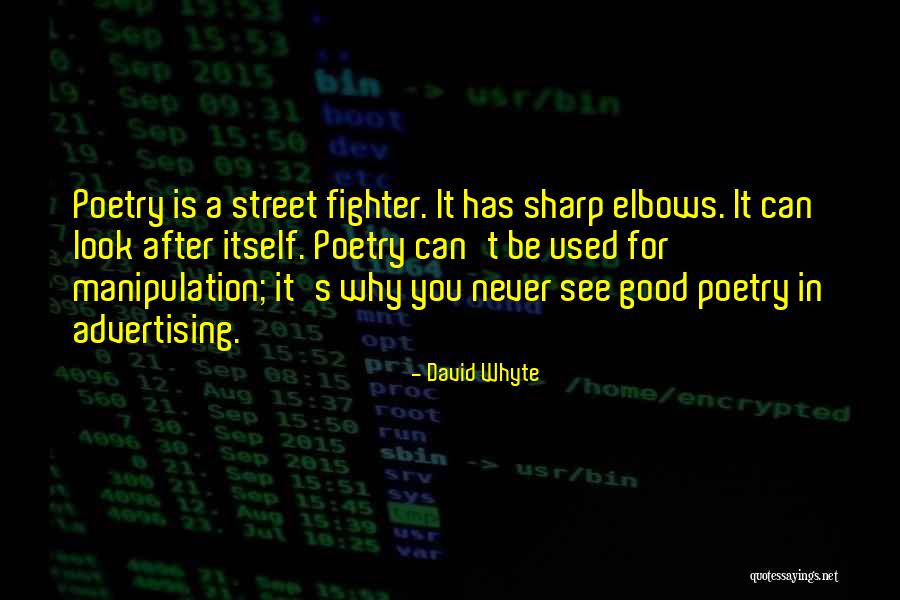 Street Fighter 4 Quotes By David Whyte