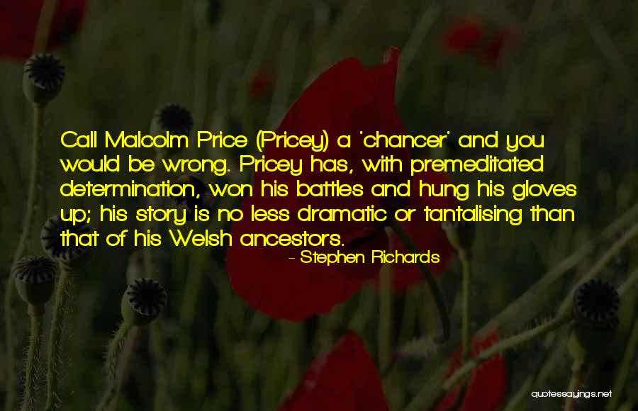 Street Fighter 4 Quotes By Stephen Richards Street Fighter 4 Quotes By Stephen Richards