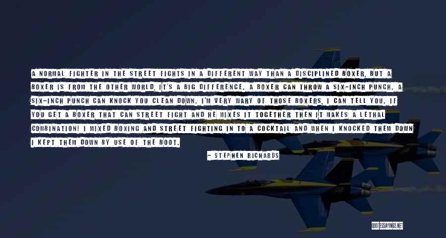 Street Fighter 4 Quotes By Stephen Richards Street Fighter 4 Quotes By Stephen Richards