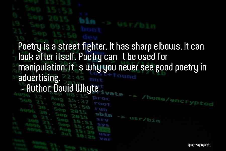 Street Fighter Quotes By David Whyte