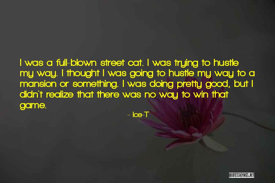 Street Hustle Quotes By Ice-T