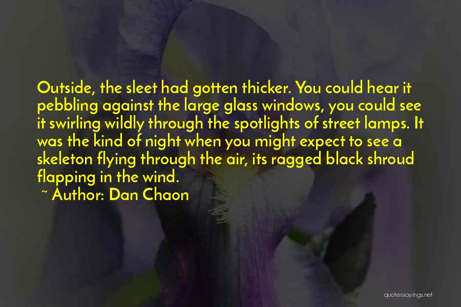 Street Lamps Quotes By Dan Chaon
