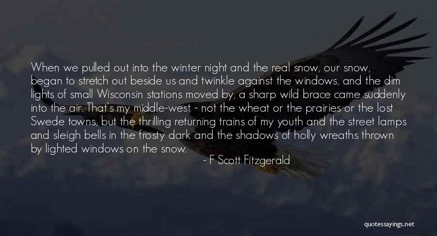 Street Lamps Quotes By F Scott Fitzgerald