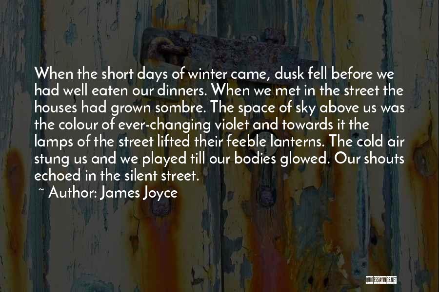 Street Lamps Quotes By James Joyce