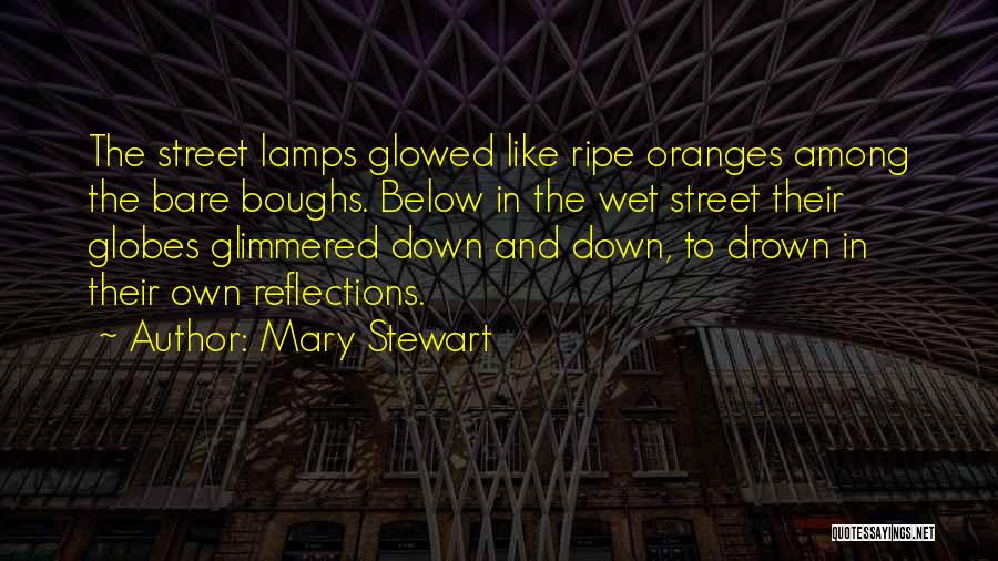 Street Lamps Quotes By Mary Stewart