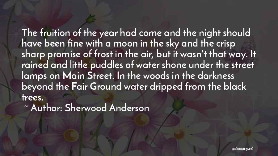 Street Lamps Quotes By Sherwood Anderson