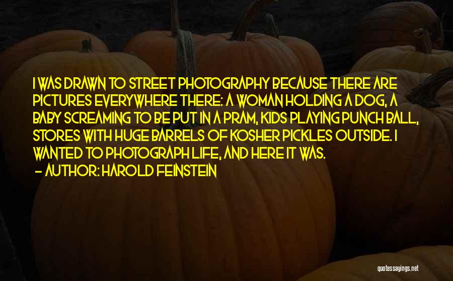 Street Photography Quotes By Harold Feinstein