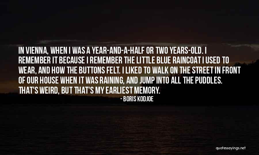 Street Wear Quotes By Boris Kodjoe Street Wear Quotes By Boris Kodjoe