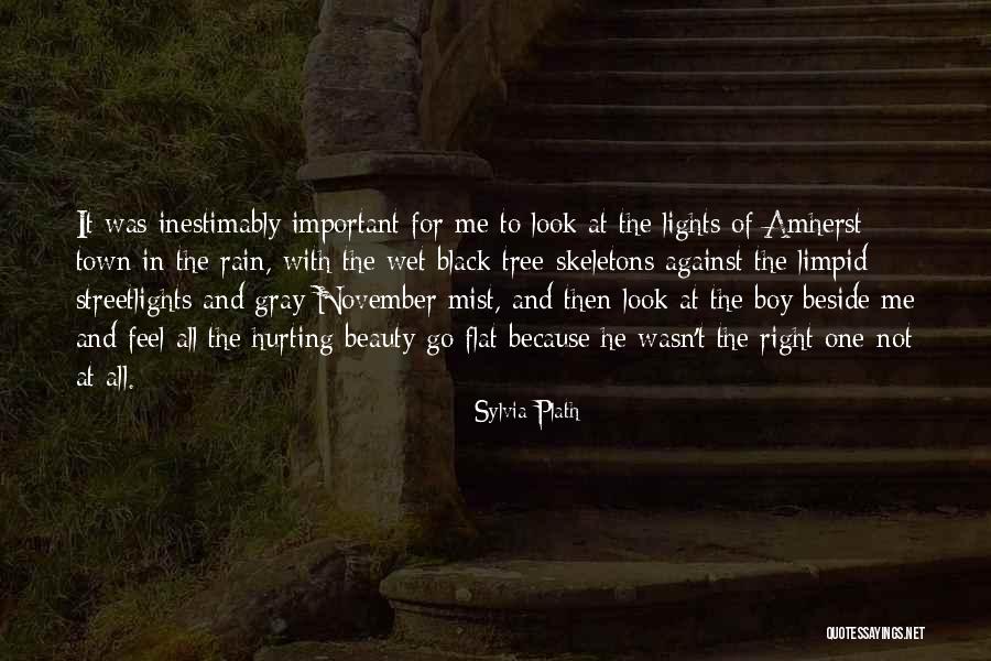 Streetlights Quotes By Sylvia Plath Streetlights Quotes By Sylvia Plath