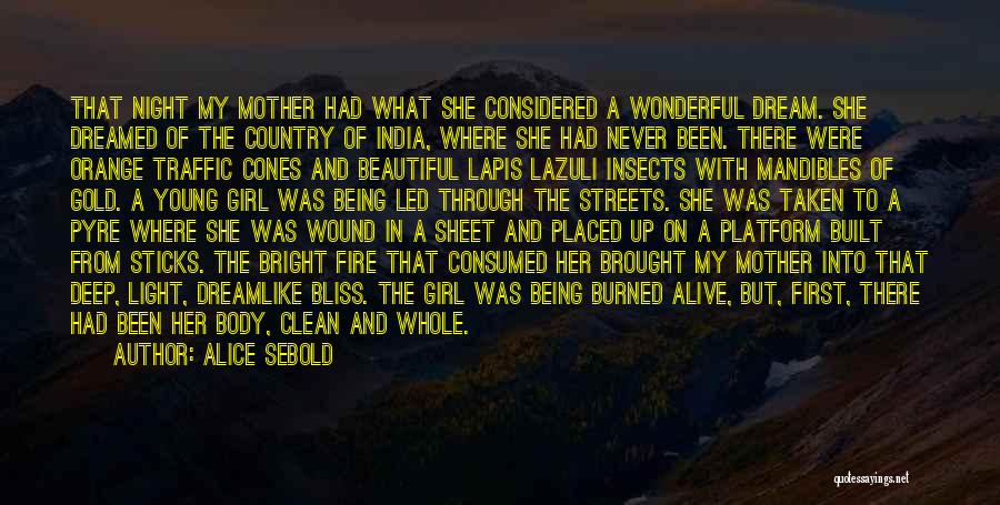 Streets Of India Quotes By Alice Sebold Streets Of India Quotes By Alice Sebold