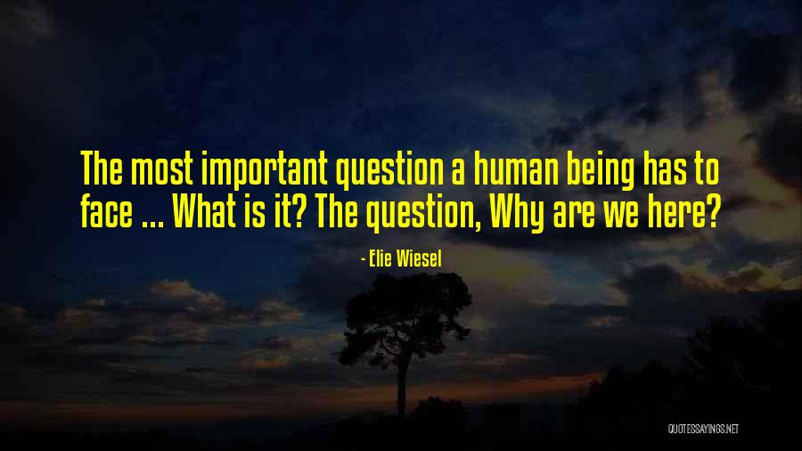 Stregobor Actor Quotes By Elie Wiesel Stregobor Actor Quotes By Elie Wiesel