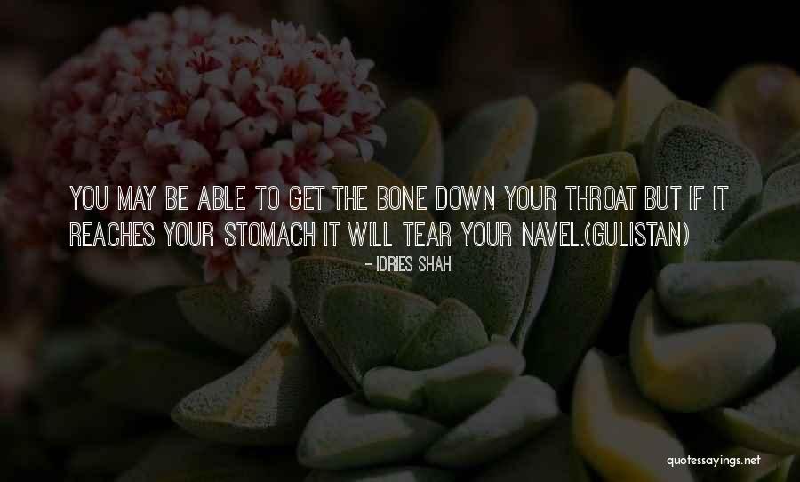 Strehles Outdoor Quotes By Idries Shah Strehles Outdoor Quotes By Idries Shah