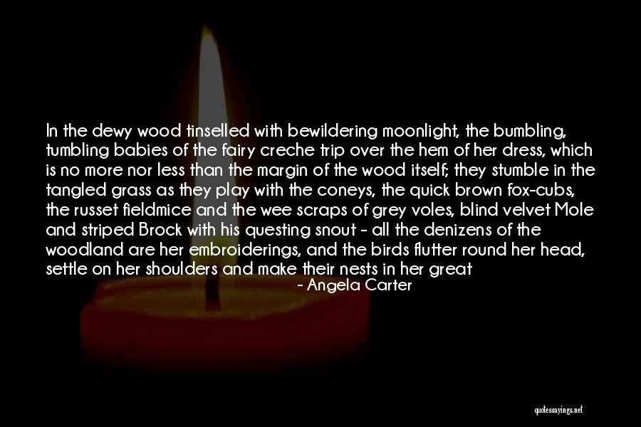 Streichers Quotes By Angela Carter Streichers Quotes By Angela Carter