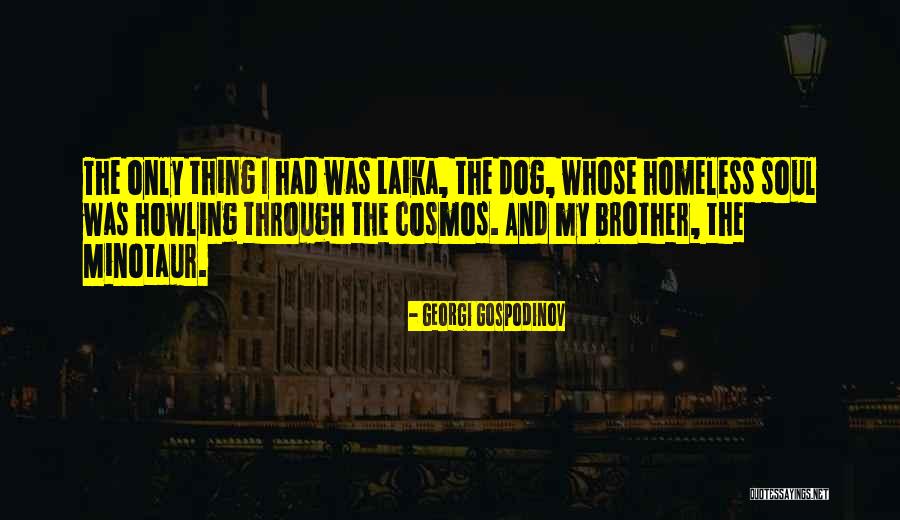 Streifel And Associates Quotes By Georgi Gospodinov Streifel And Associates Quotes By Georgi Gospodinov