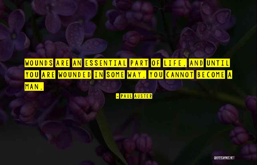 Streifeneder Usa Quotes By Paul Auster Streifeneder Usa Quotes By Paul Auster