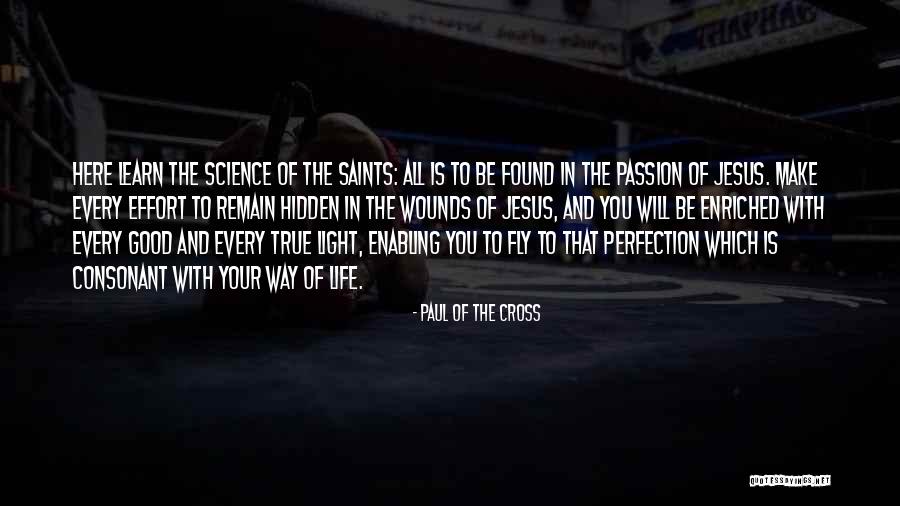 Stremiz Film Quotes By Paul Of The Cross Stremiz Film Quotes By Paul Of The Cross