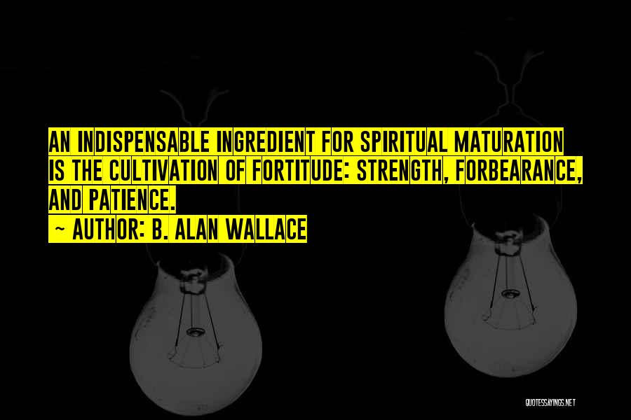 Strength And Patience Quotes By B. Alan Wallace