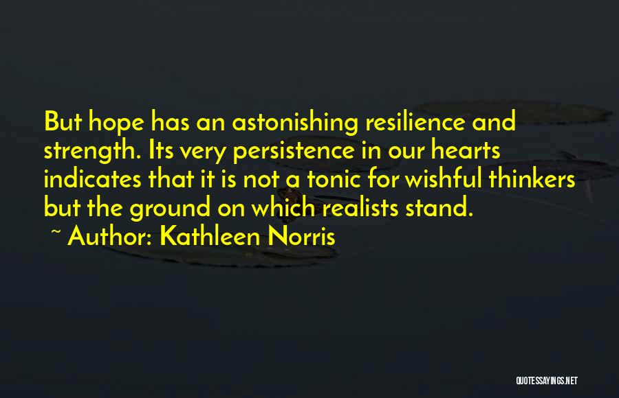 Strength And Persistence Quotes By Kathleen Norris
